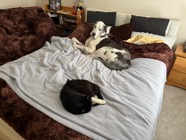 IMG_0453.jpeg